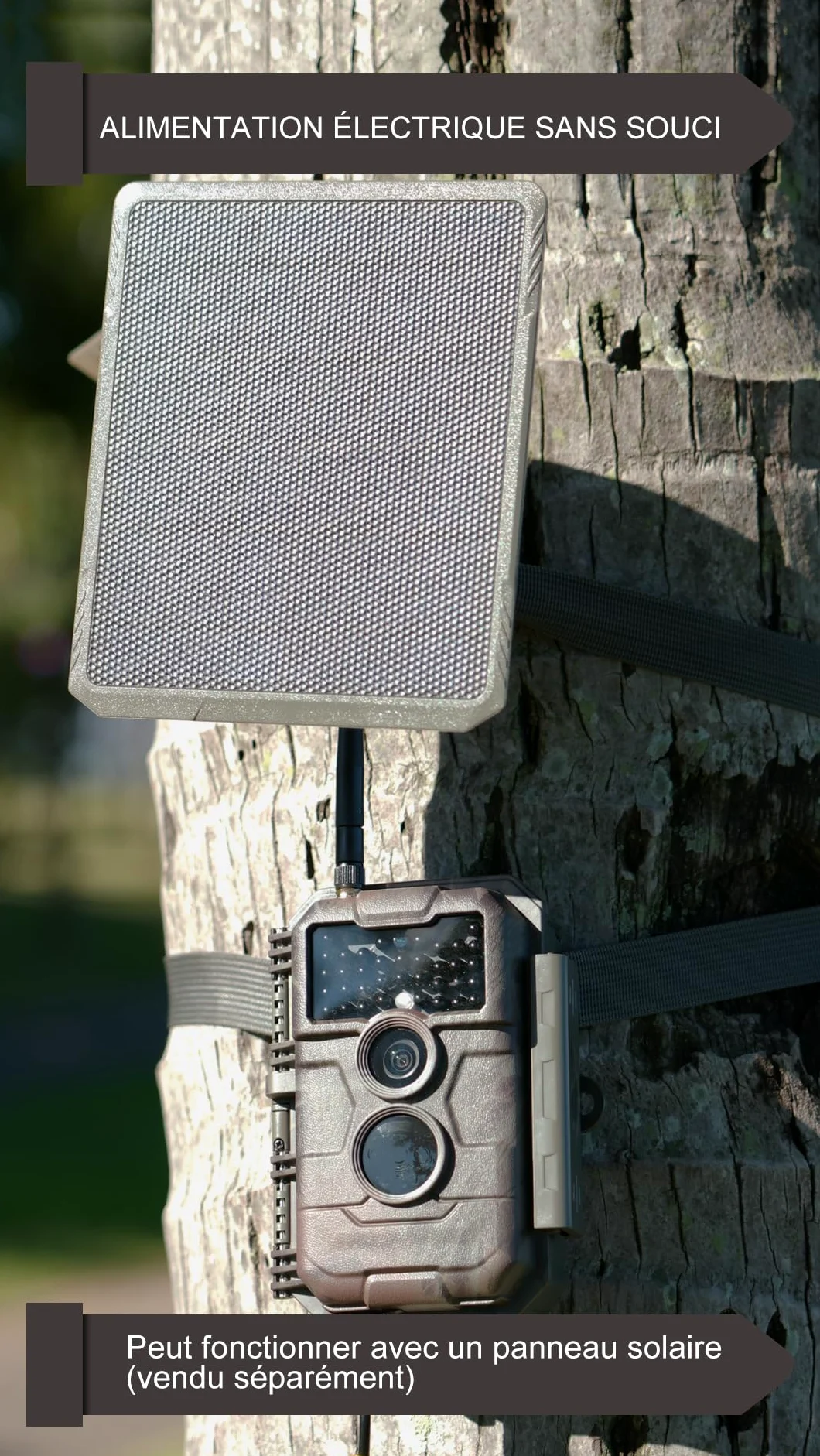 GardePro E6P Caméra de Chasse, WiFi, Batterie Rechargeable 8000 mAh, 64MP 1296P, Caméra E6P No Glow Infrarouge Vision Nocturne, Champ de Vision Large de 110°