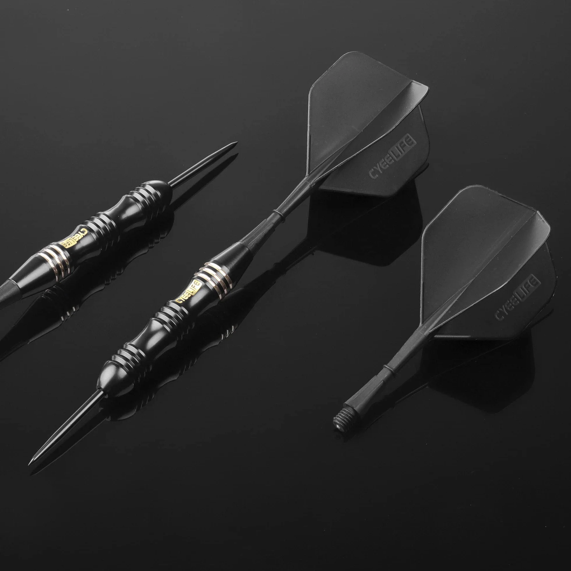 Flechette Pointe Acier 24g avec Boîte de manutention