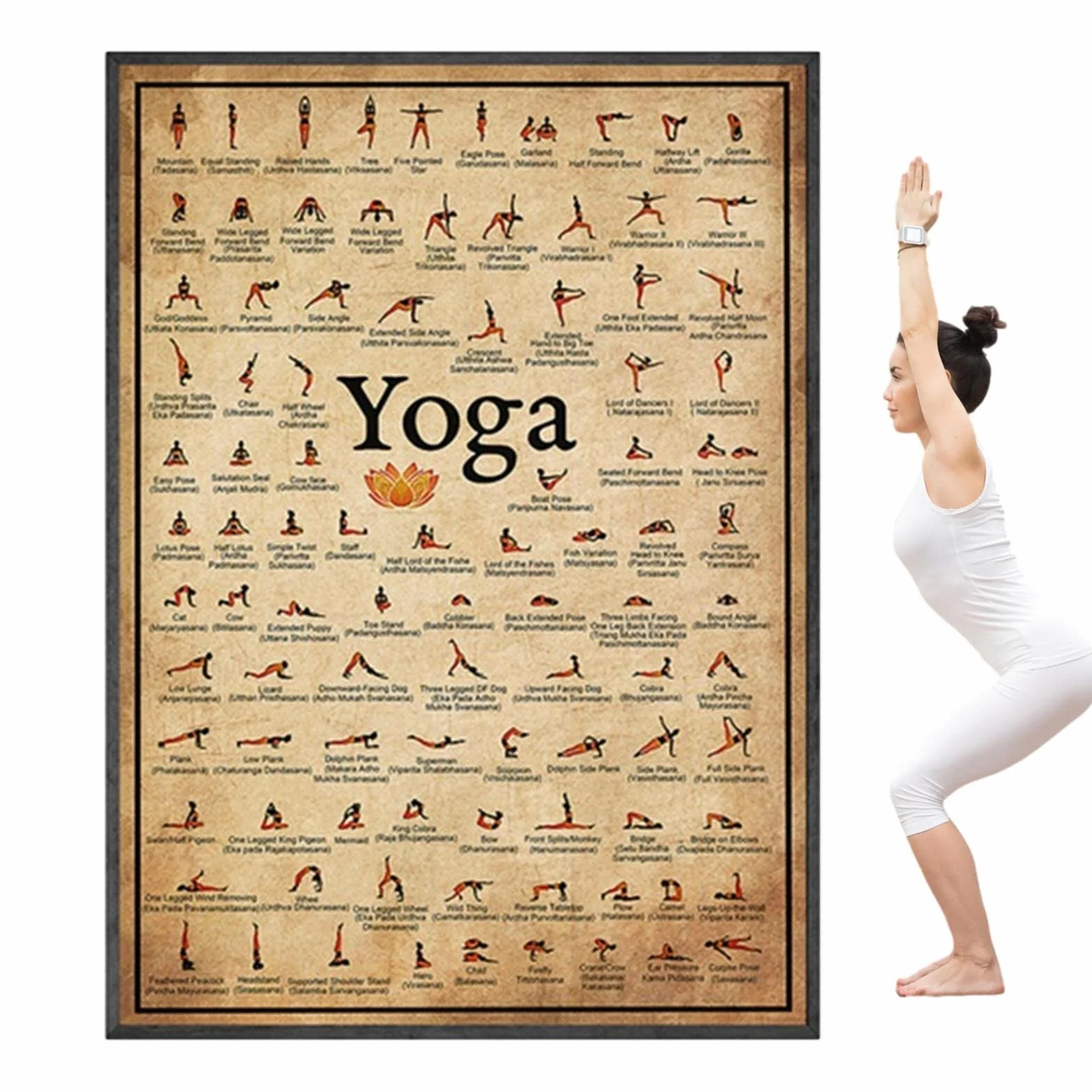 Affiche Yoga Classiques Poster Postures Gym À Domicile Bodybuilding Stratifié Sport Fitness Mur Decor