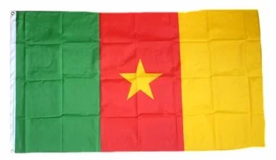 Drapeau du Cameroun 150 x 250 cm FahnenMax