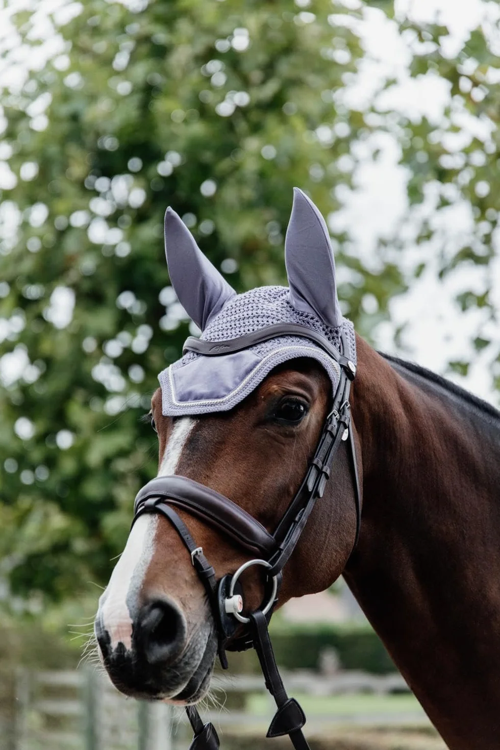 Kentucky Horsewear - Bonnet Wellington Velvet - Violet - pour Cheval