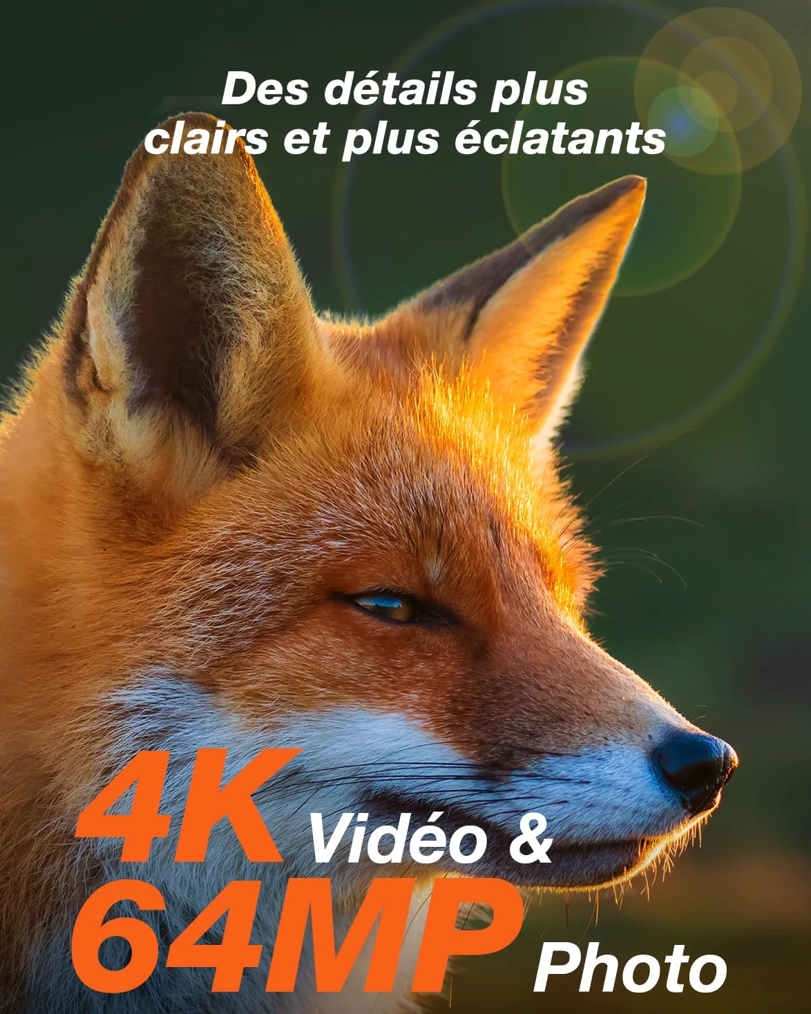 iZEEKER Solaire WiFi Caméra de Chasse, 4K 64MP Bluetooth Caméra de Chasse avec Vision Nocturne, 0,1s Temps de Déclenchement Activé par Mouvement, 5200mAh Batterie