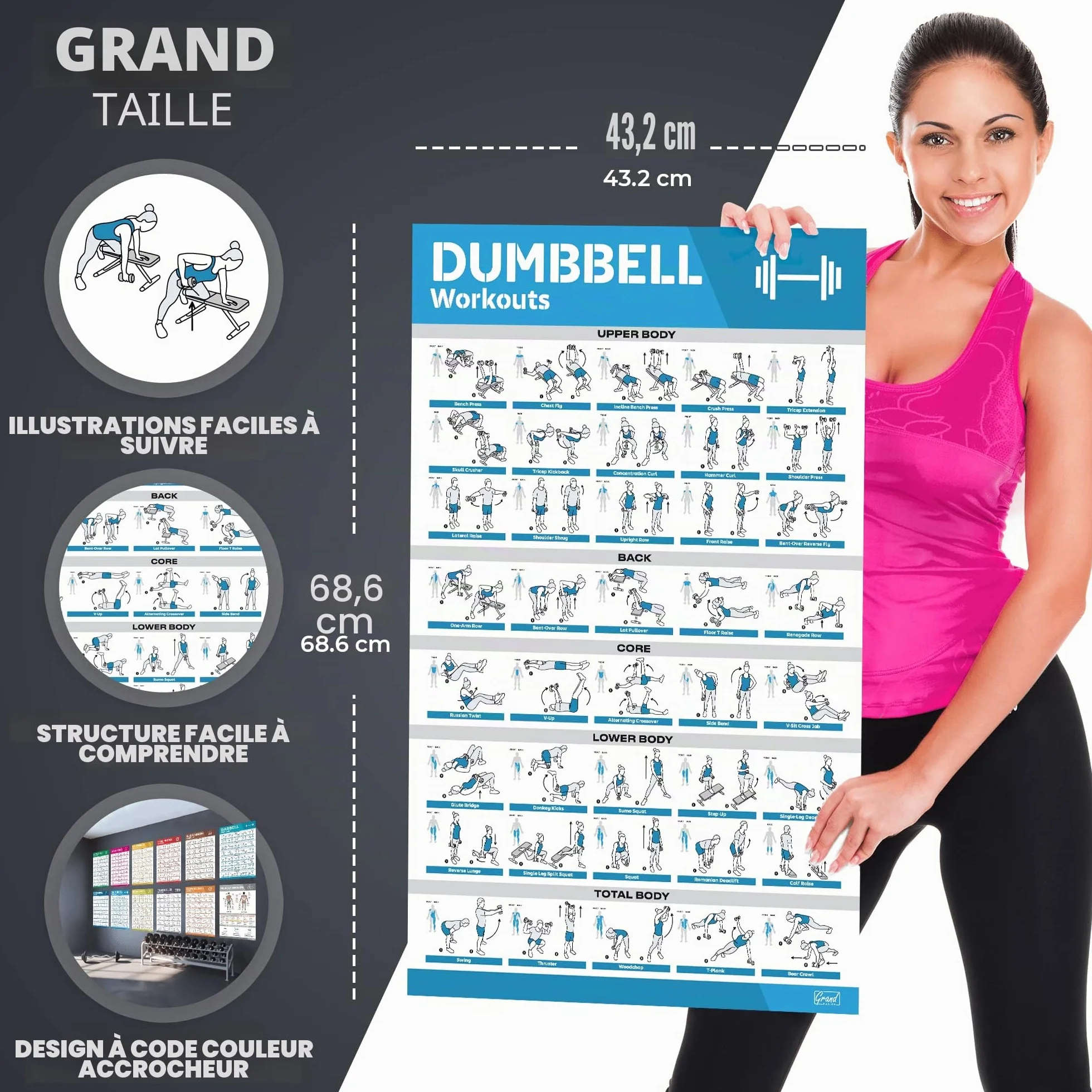 12 grands posters d'entraînement plastifiés pour salle de sport avec haltères, yoga, bande de résistance, kettlebell, étirements