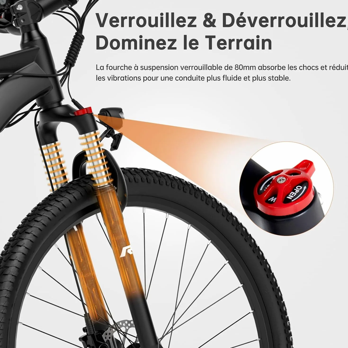 Xtremer 2/Xtremer 3 Vélo Électrique 27.5" 29" VTT Moteur 250W Autonomie 120KM Frein à Disque Hydraulique