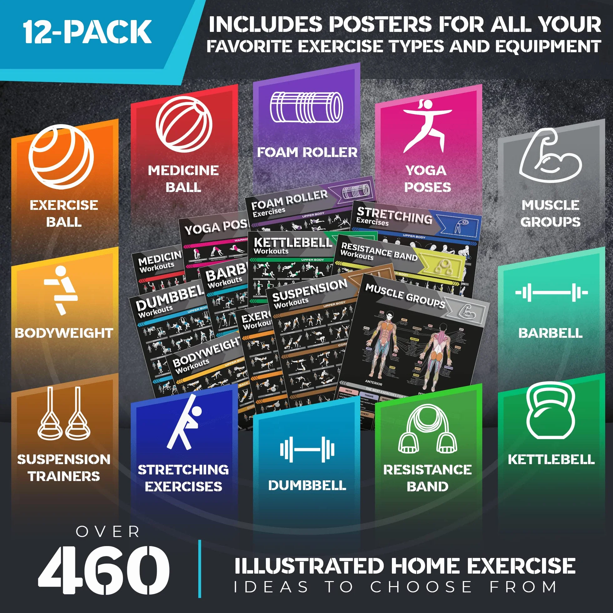 GRAND BASICS Lot de 12 grandes affiches d'entraînement laminées pour salle de sport à domicile avec haltères