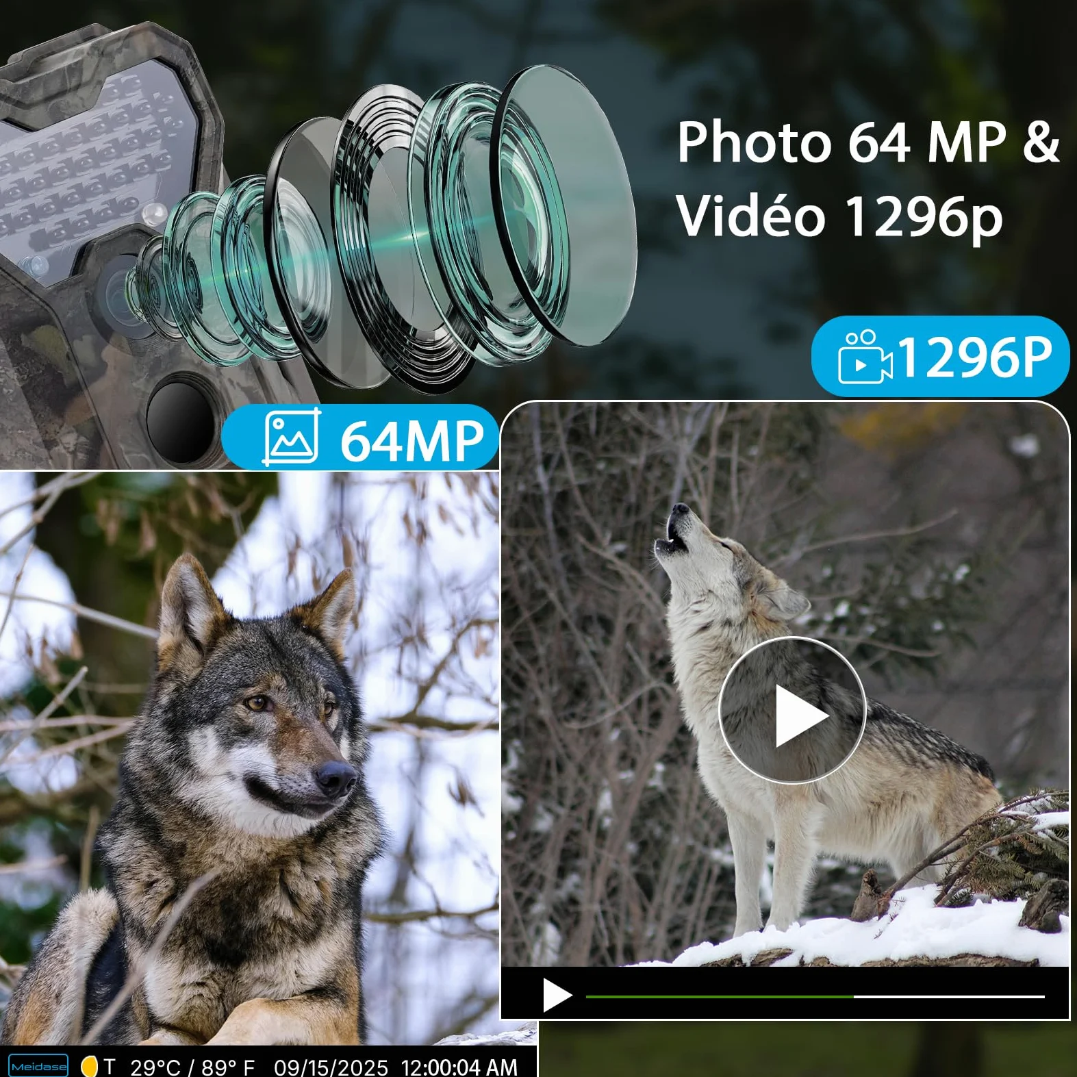 Meidase P300 Caméra de Chasse, WiFi Bluetooth 50m Portée de Connexion, Double Antenne, 64mp 1296p, Vision Nocturne, Activation Mouvement, Ip66 Etanche, Transfert App, Surveillance Extérieure