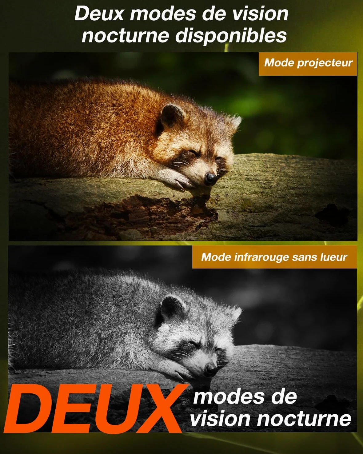 iZEEKER 4G LTE Solaire Caméra de Chasse, 2K PTZ Caméra Chasse avec Carte SD et SIM, 360° Rotation, Diffusion en Direct & Accès à Distance, 940nm sans Lueur IR, Activée par Le Mouvement IP65 Etanche
