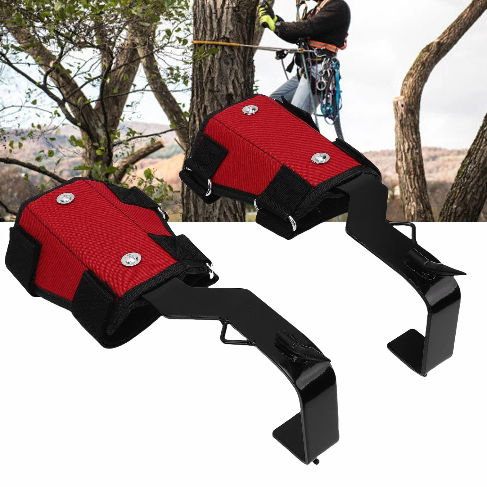 Focket Pointes d'escalade d'arbre Réglable en Acier Inoxydable 1 Paire avec Sangles et Gants