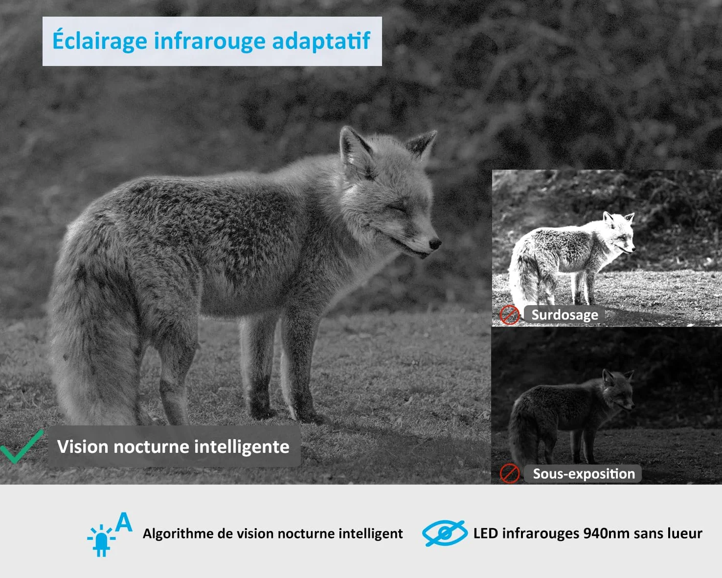 GardePro X50 Caméra de Chasse 4G LTE avec Carte SIM et APP, Vidéo H.265 48MP, Vision Nocturne Infrarouge No-Glow de 30 m, Détecteur de Mouvement 0,1 s et IP66 Étanche