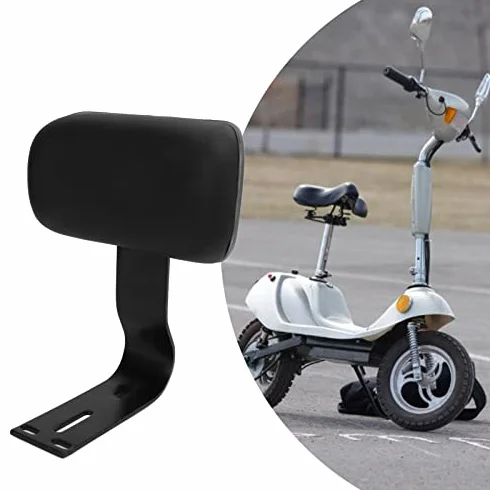 Support de Dossier de Vélo électrique avec Support en Métal Arrière